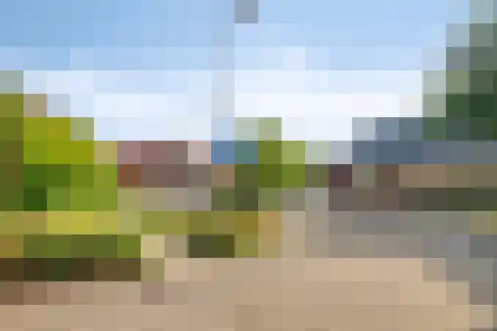 Tankenberg 138 Capelle aan den IJssel thumbnail 30