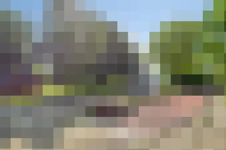 Tankenberg 138 Capelle aan den IJssel thumbnail 31