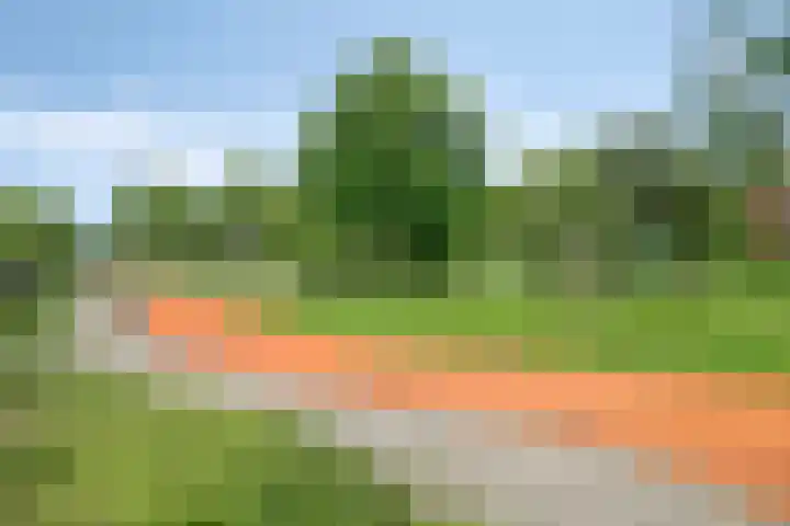 Tankenberg 138 Capelle aan den IJssel thumbnail 32