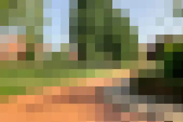 Tankenberg 138 Capelle aan den IJssel thumbnail 33