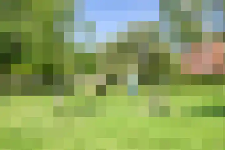 Tankenberg 138 Capelle aan den IJssel thumbnail 34