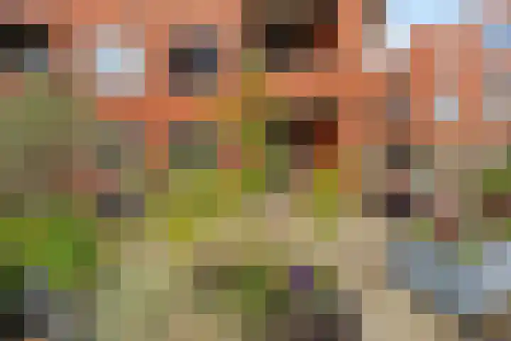 Tankenberg 159 Capelle aan den IJssel thumbnail 10