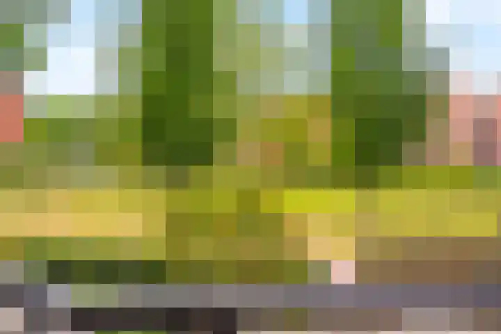Tankenberg 159 Capelle aan den IJssel thumbnail 22