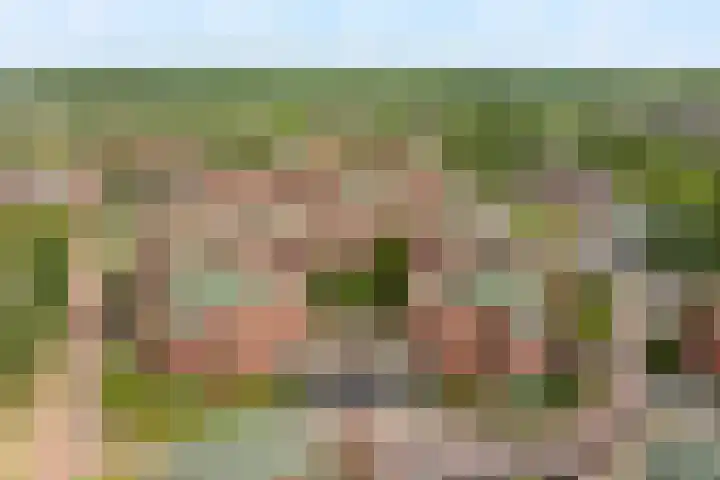 Tankenberg 159 Capelle aan den IJssel thumbnail 35