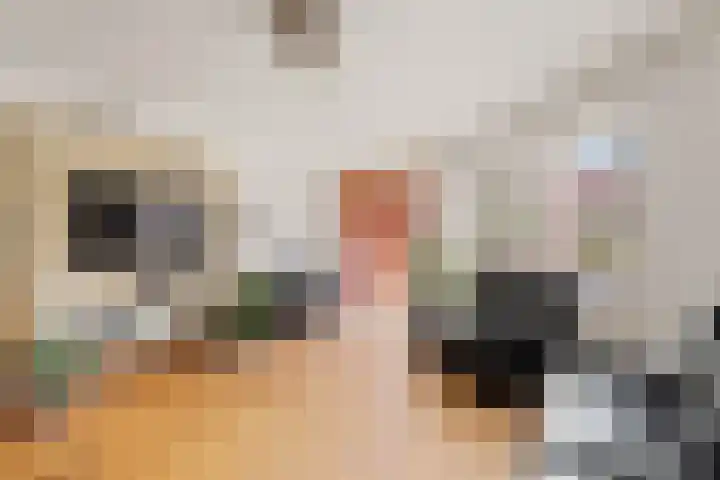 Tankenberg 159 Capelle aan den IJssel thumbnail 8
