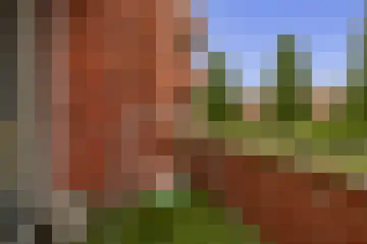 Tankenberg 161 Capelle aan den IJssel thumbnail 21