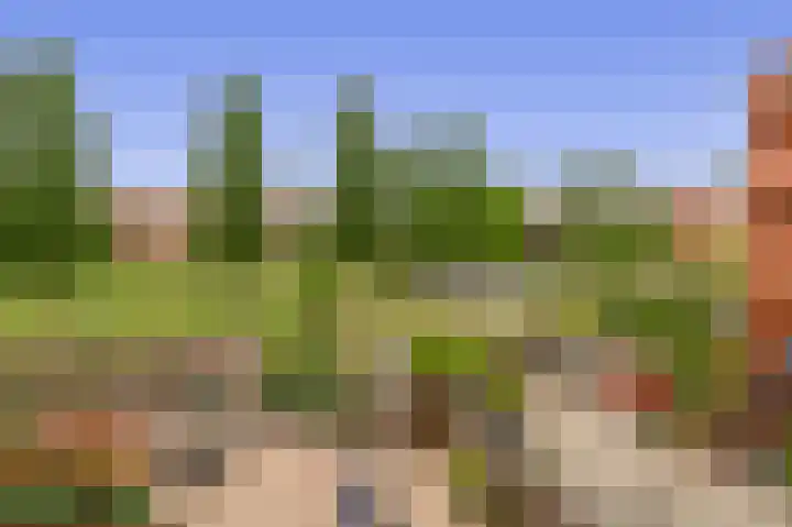 Tankenberg 161 Capelle aan den IJssel thumbnail 23