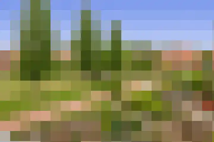 Tankenberg 161 Capelle aan den IJssel thumbnail 24