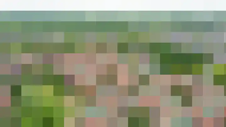 Tankenberg 161 Capelle aan den IJssel thumbnail 39