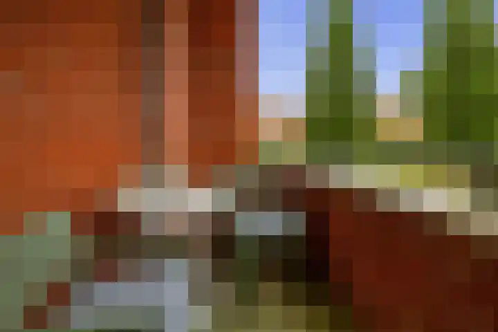 Tankenberg 161 Capelle aan den IJssel thumbnail 4