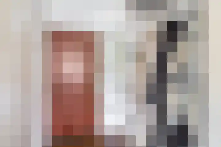 Tankenberg 161 Capelle aan den IJssel thumbnail 8