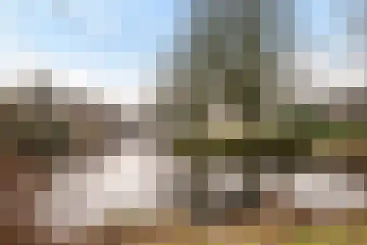 Tankenberg 177 Capelle aan den IJssel thumbnail 25