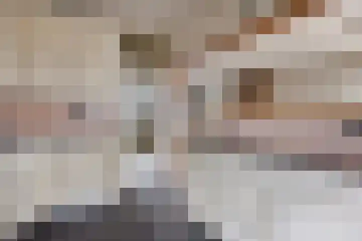 Tankenberglaan 12 Eindhoven thumbnail 13