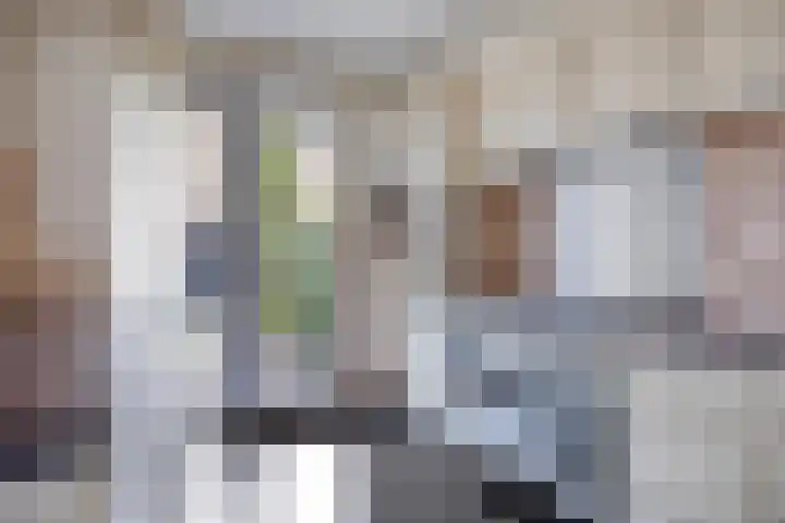 Tankenberglaan 12 Eindhoven thumbnail 14