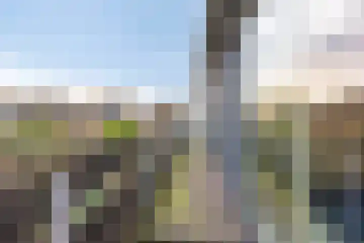 Tankenberglaan 12 Eindhoven thumbnail 19