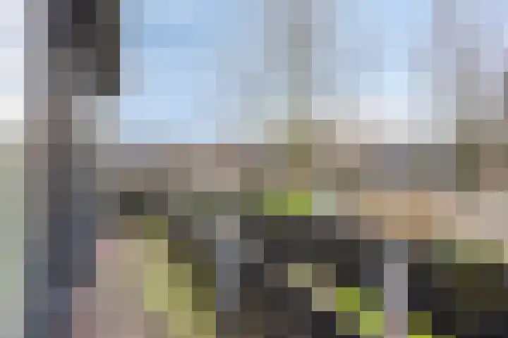 Tankenberglaan 12 Eindhoven thumbnail 20