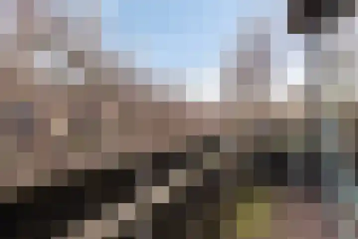 Tankenberglaan 12 Eindhoven thumbnail 27