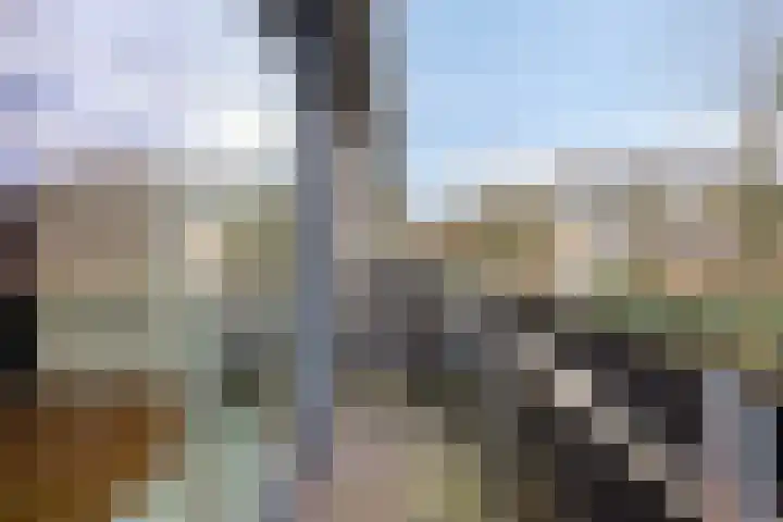Tankenberglaan 12 Eindhoven thumbnail 28