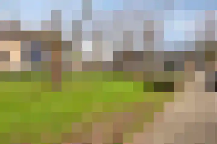 Tankenberglaan 12 Eindhoven thumbnail 44