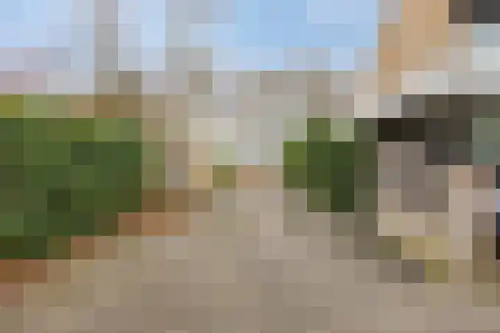 Tankenberglaan 12 Eindhoven thumbnail 45