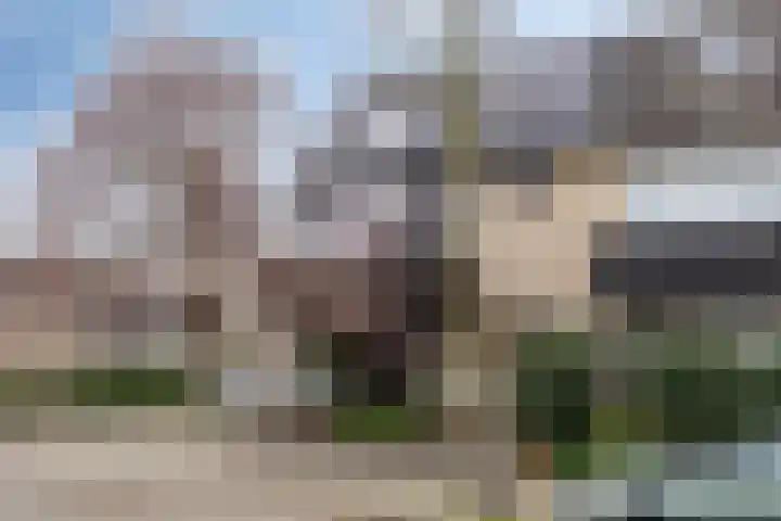 Tankenberglaan 12 Eindhoven thumbnail 48