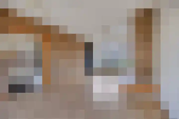 Tankenberglaan 12 Eindhoven thumbnail 8
