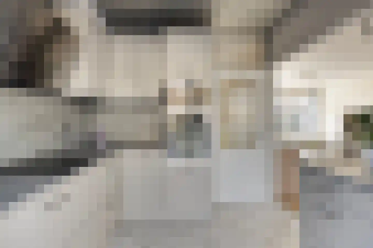Tankenberglaan 3 Eindhoven thumbnail 12