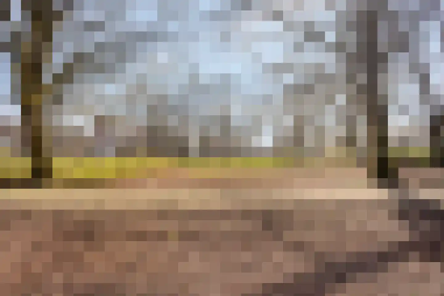 Tankenberglaan 3 Eindhoven thumbnail 43