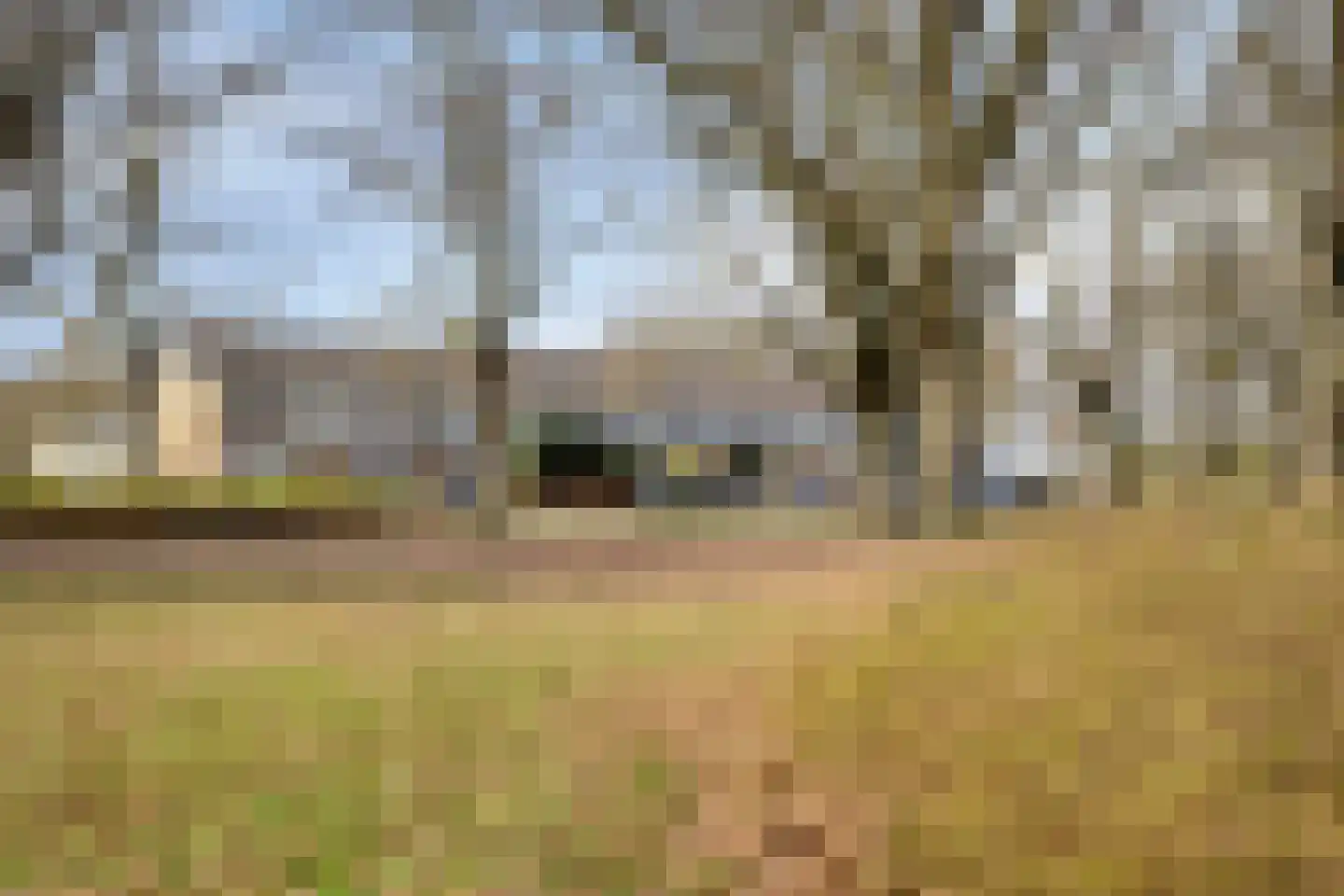 Tankenberglaan 3 Eindhoven thumbnail 44