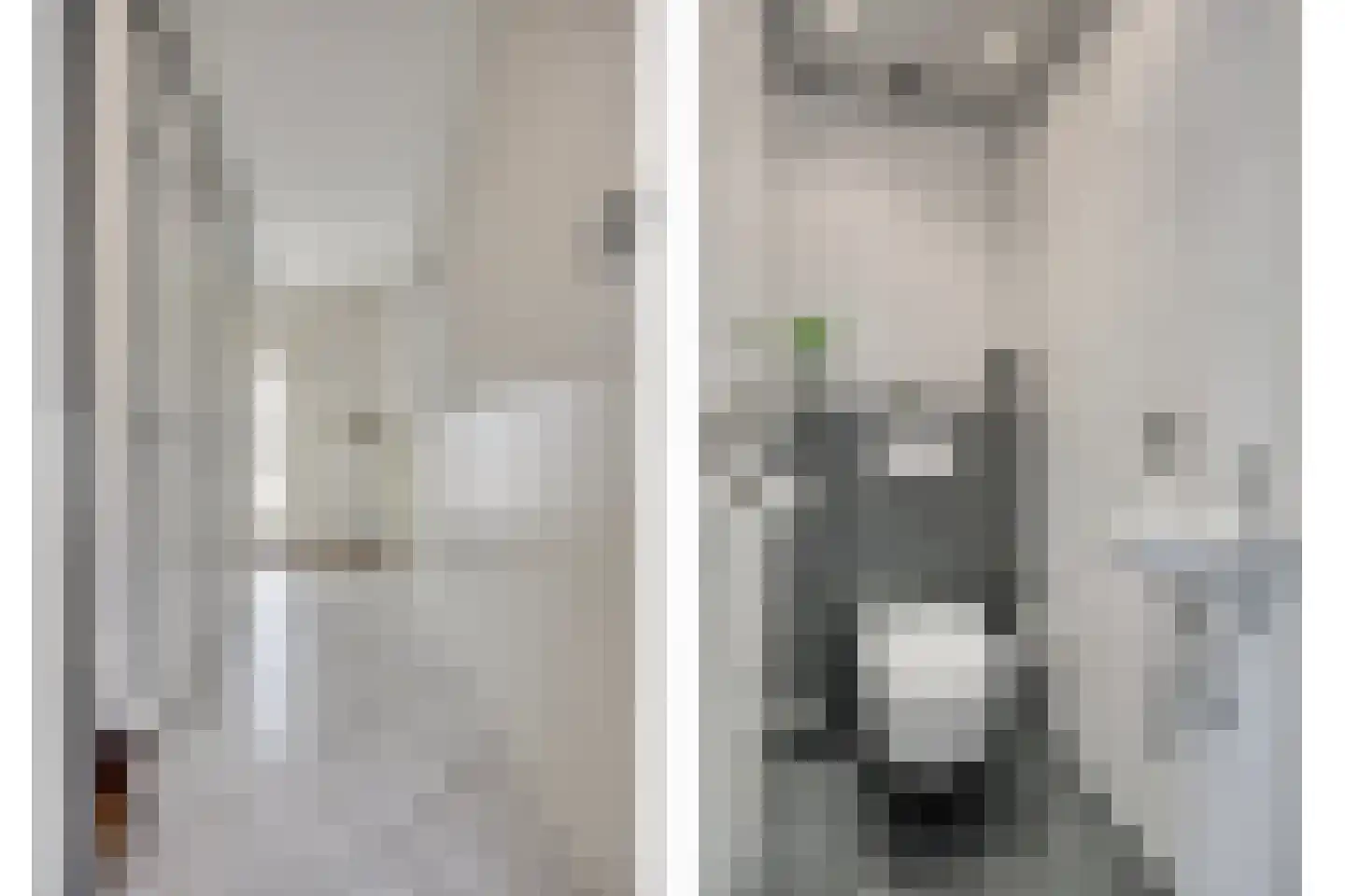 Tankenberglaan 3 Eindhoven thumbnail 5