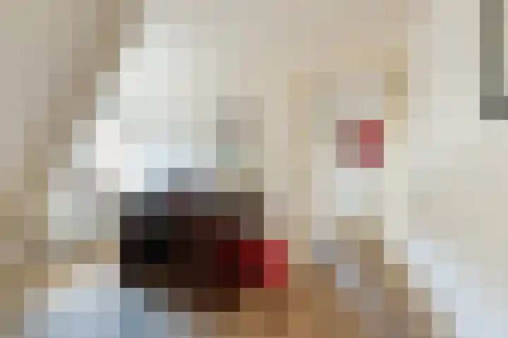 Tankmaot 16 Eibergen thumbnail 36