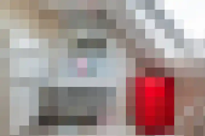 Tankmaot 16 Eibergen thumbnail 42