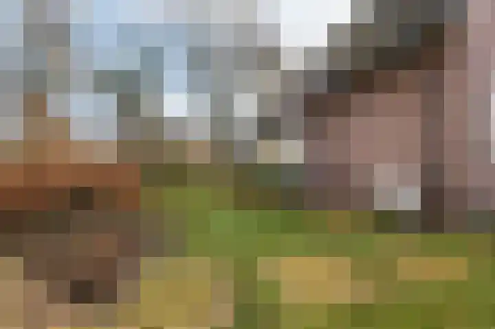 Tankmaot 16 Eibergen thumbnail 50