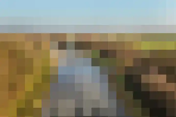 Tankmaot 16 Eibergen thumbnail 55