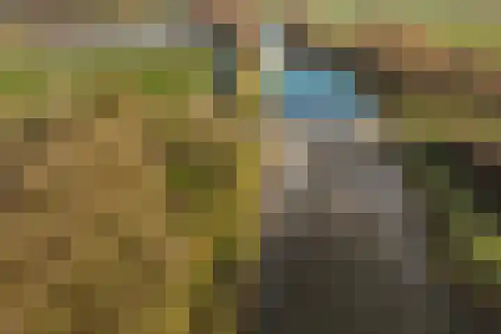 Tankmaot 16 Eibergen thumbnail 62