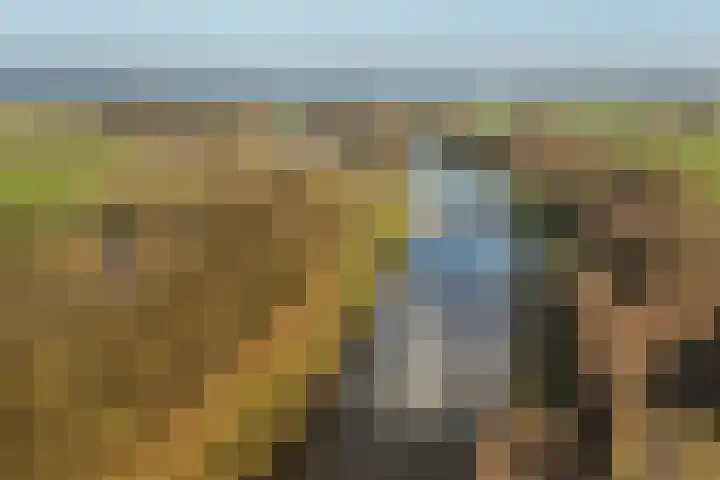 Tankmaot 16 Eibergen thumbnail 63