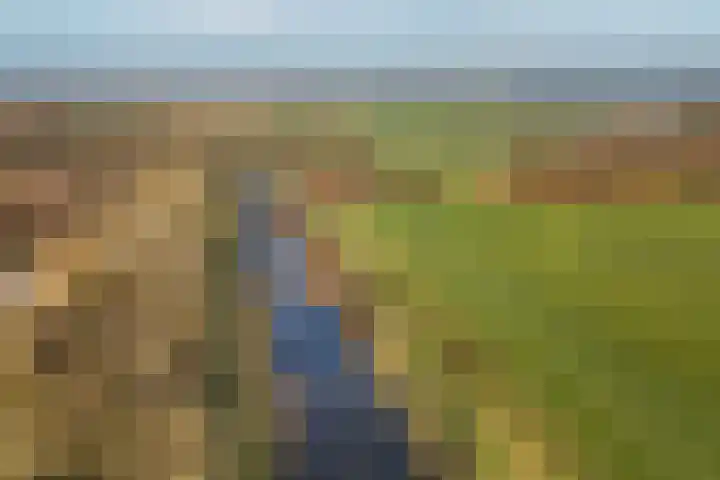 Tankmaot 16 Eibergen thumbnail 64