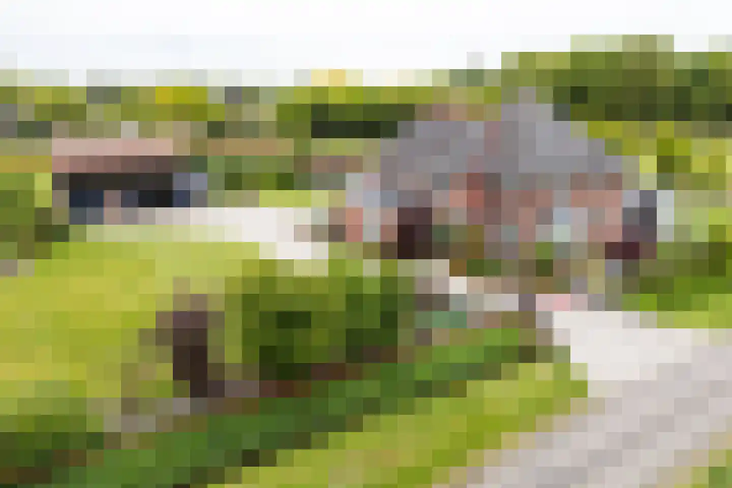 Tankweg 3 in Lievelde