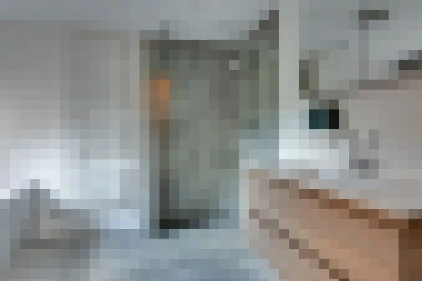 Tankweg 3 Lievelde thumbnail 18