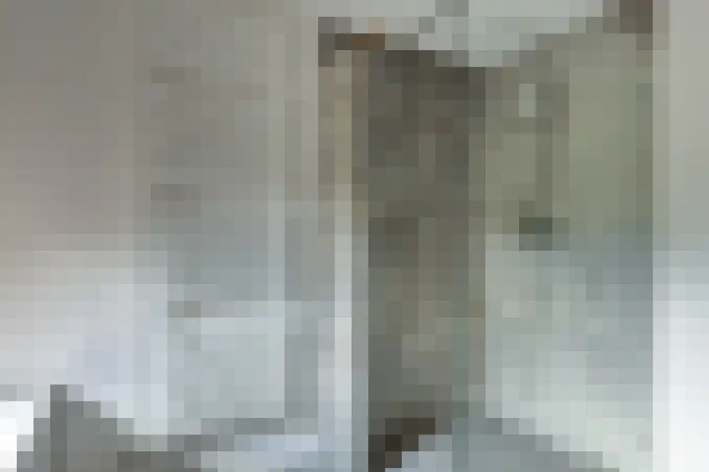 Tankweg 3 Lievelde thumbnail 20