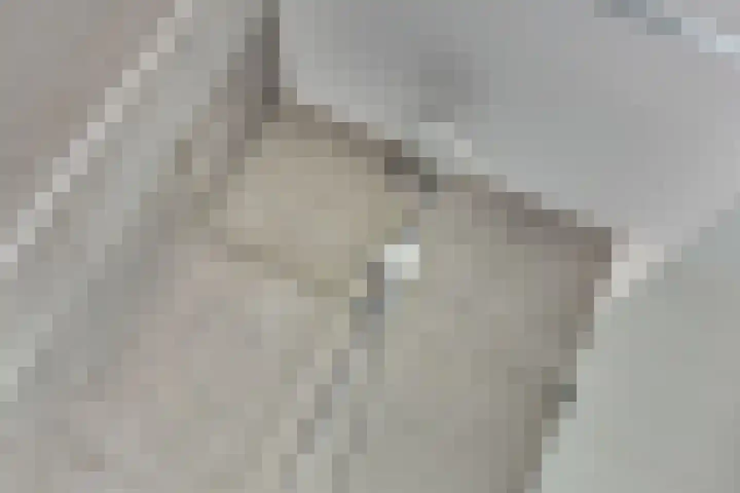 Tankweg 3 Lievelde thumbnail 21
