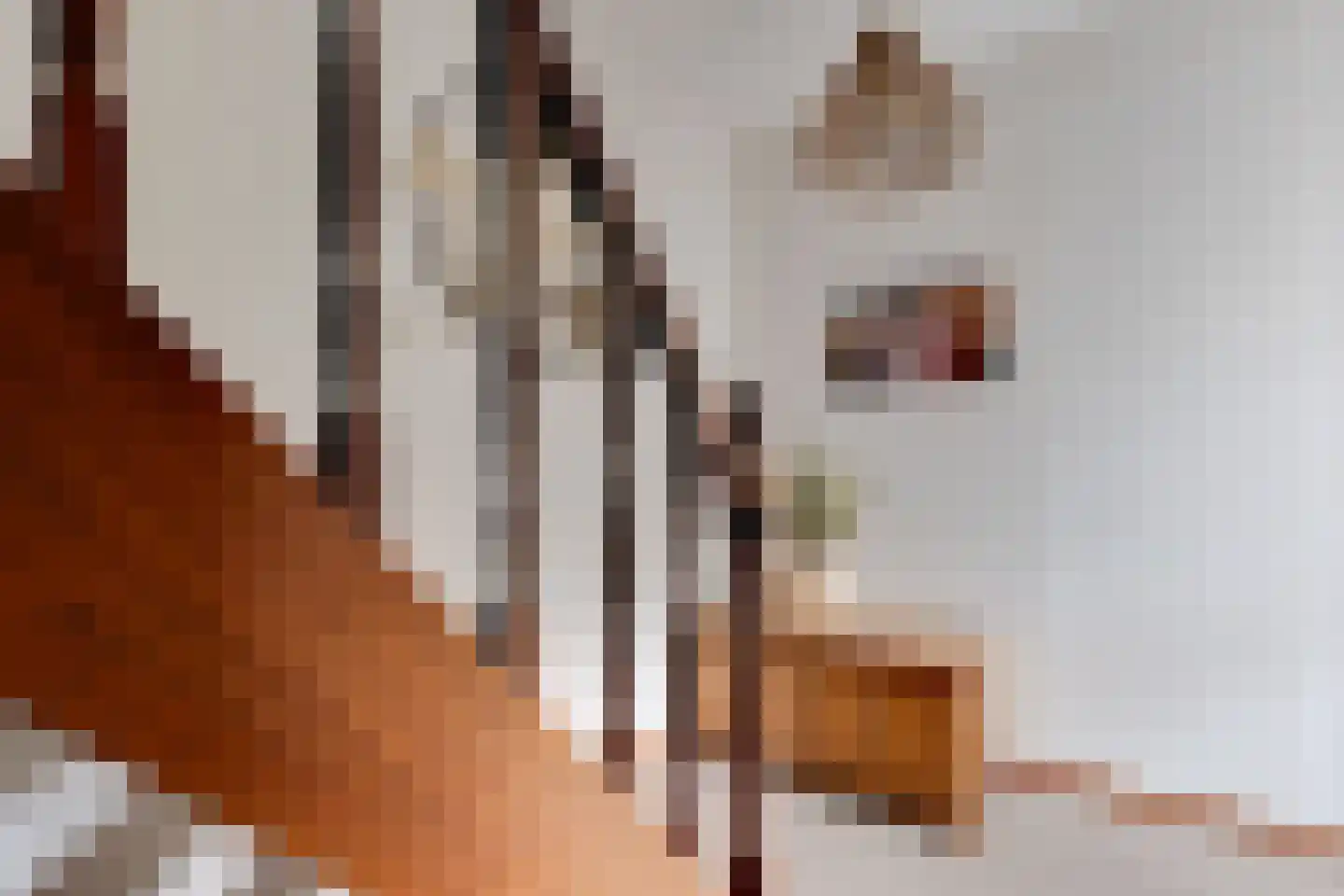 Tankweg 3 Lievelde thumbnail 24