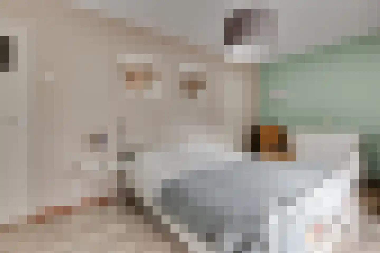Tankweg 3 Lievelde thumbnail 27