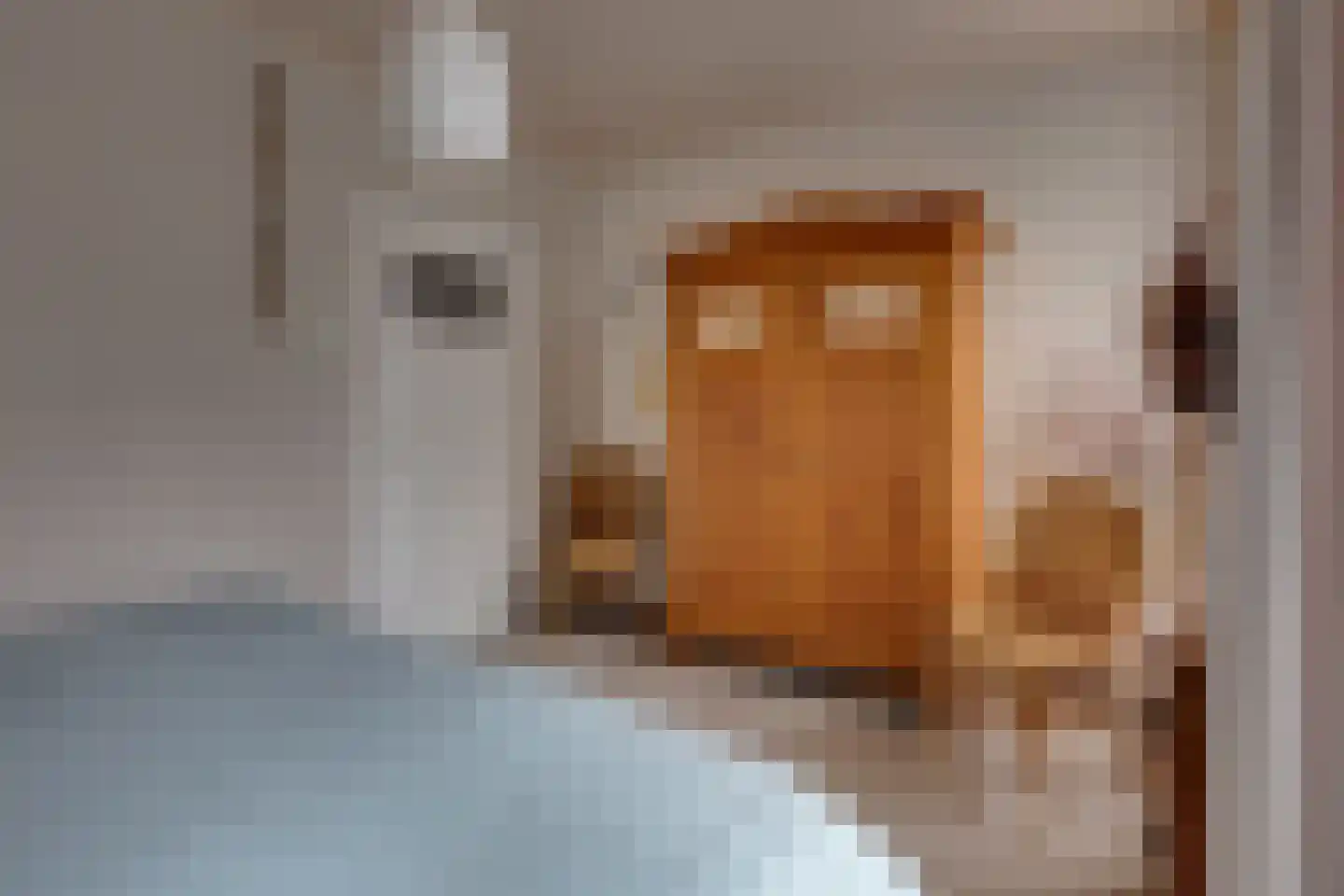 Tankweg 3 Lievelde thumbnail 31