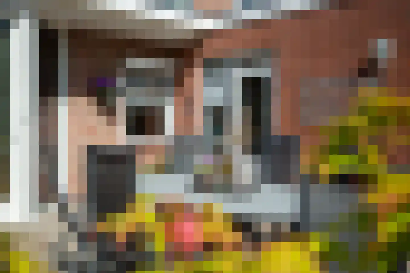 Tankweg 3 Lievelde thumbnail 39