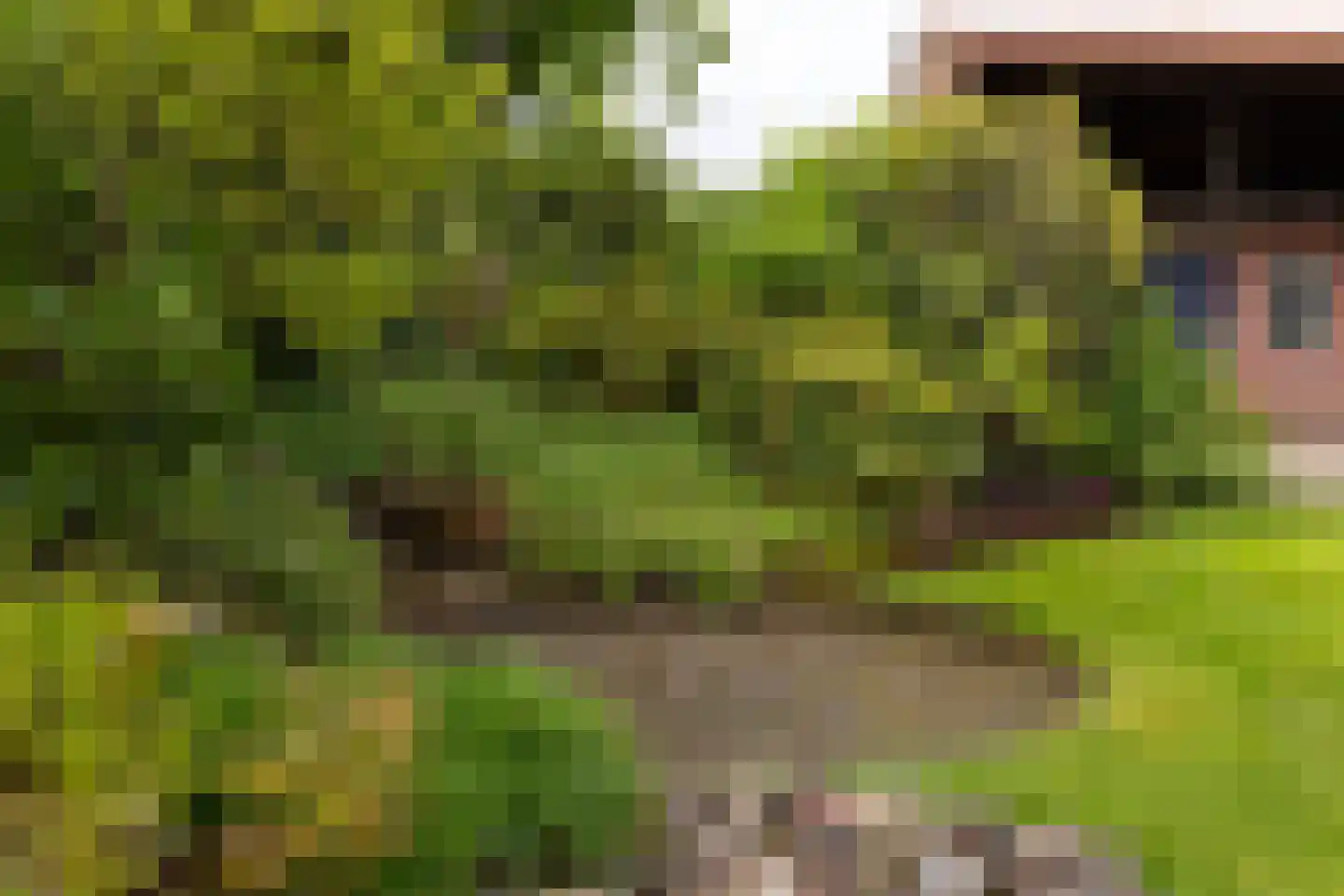 Tankweg 3 Lievelde thumbnail 43