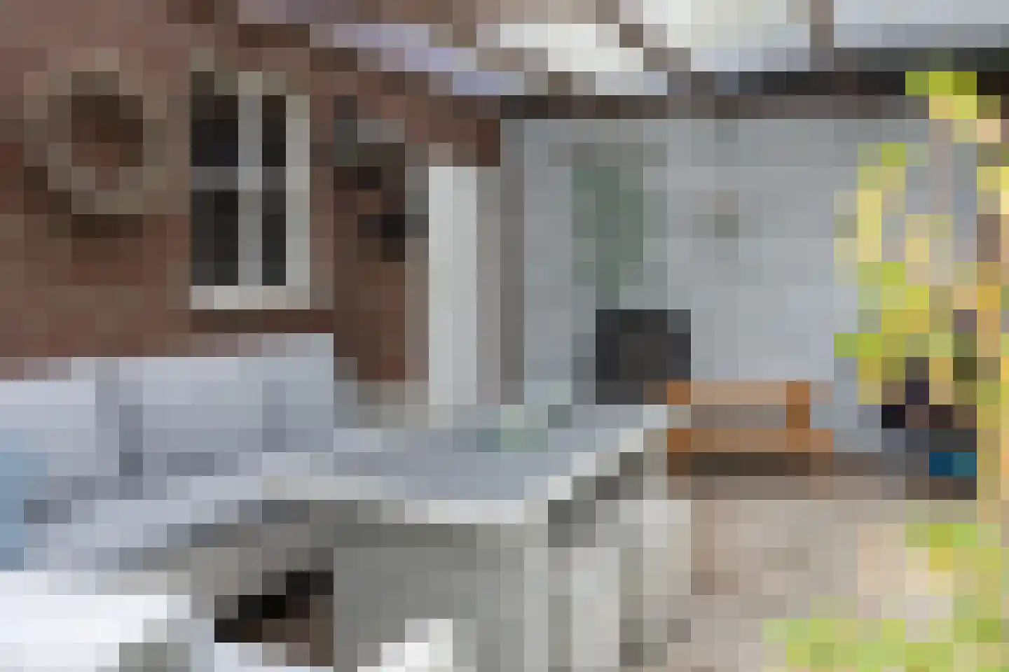 Tankweg 3 Lievelde thumbnail 50