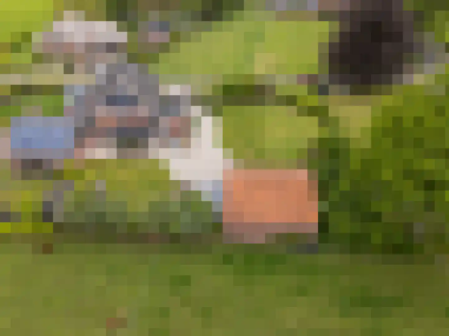 Tankweg 3 Lievelde thumbnail 51
