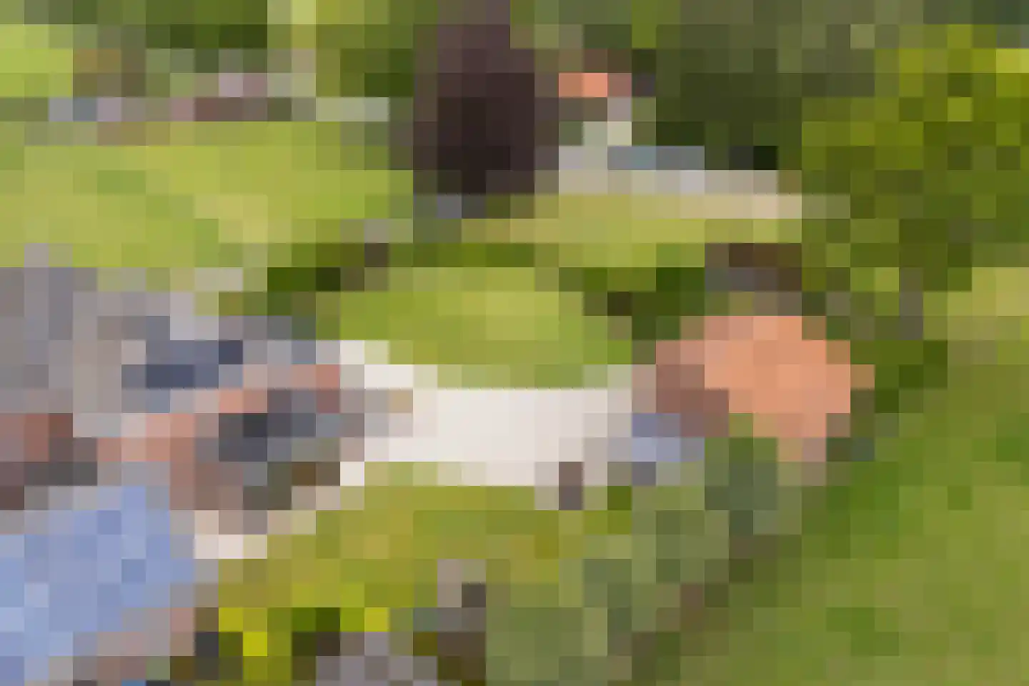 Tankweg 3 Lievelde thumbnail 52