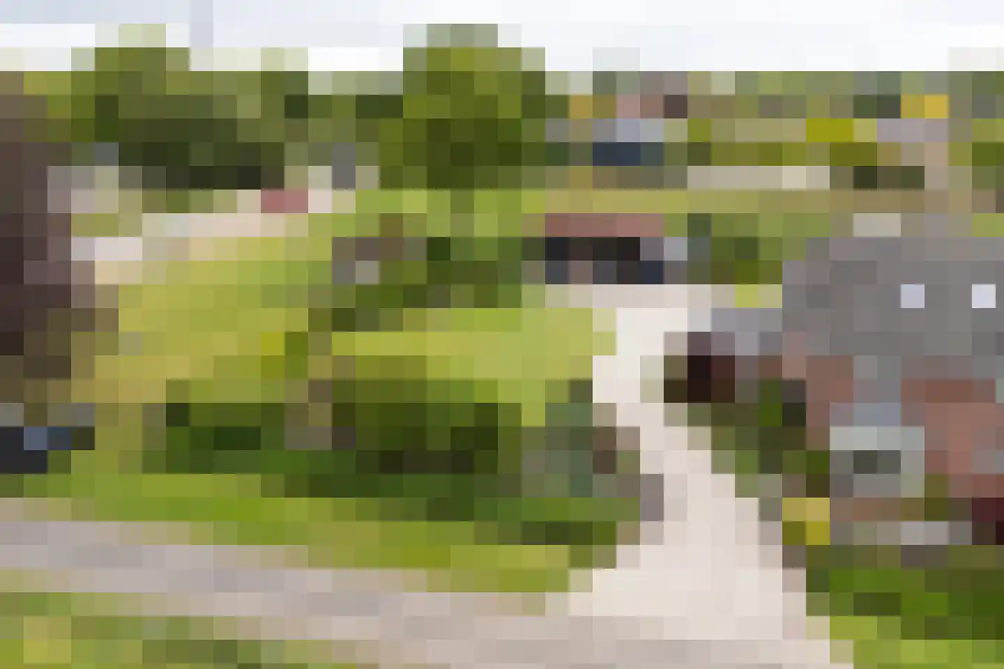 Tankweg 3 Lievelde thumbnail 53